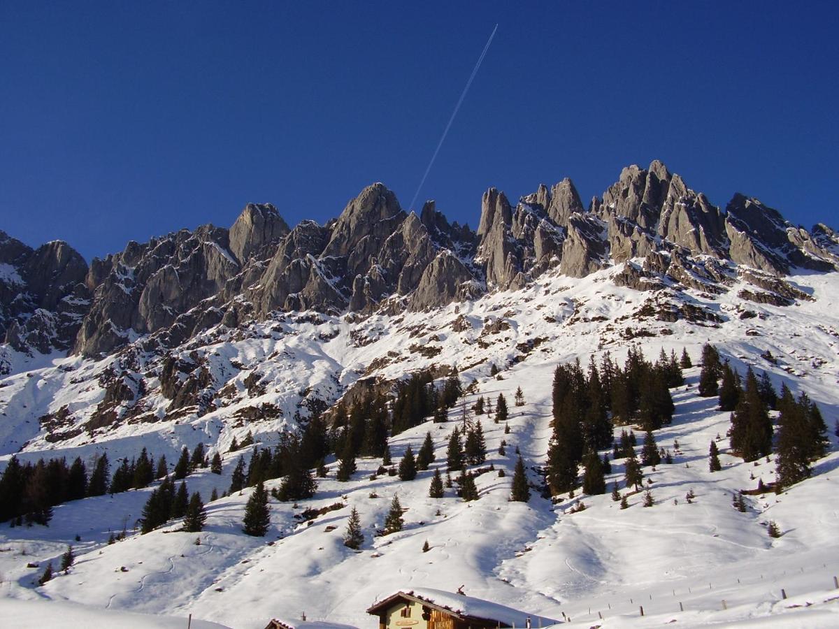 Appartementhaus Hochkoenig 1- Birgkar Mühlbach am Hochkönig Exterior foto